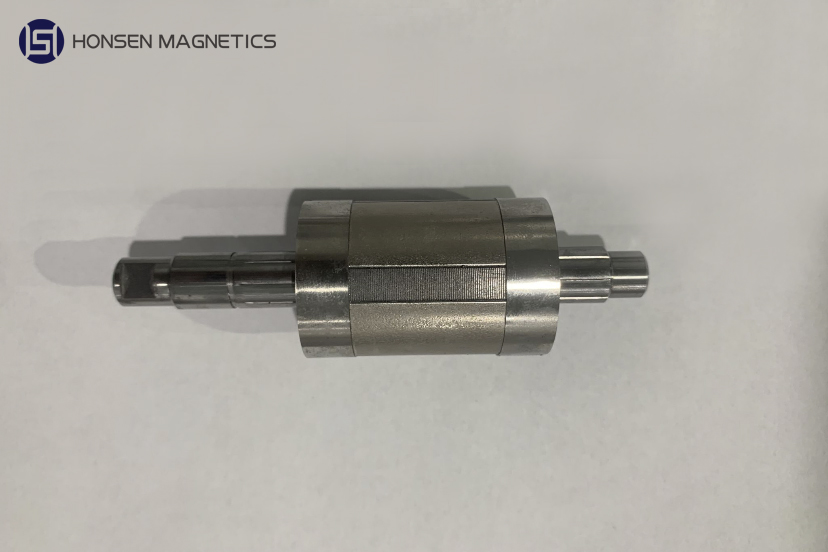 Rotor Magnetic