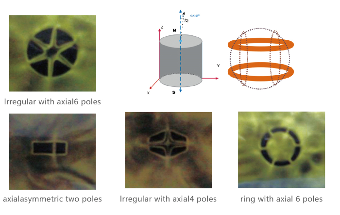 Magnetization